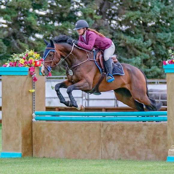 Meet your Posher, Calli - Picture 1 of 1